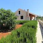 Holiday Suric بريفلاكا